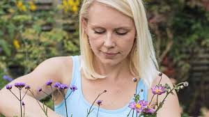 A garden in pots part 3