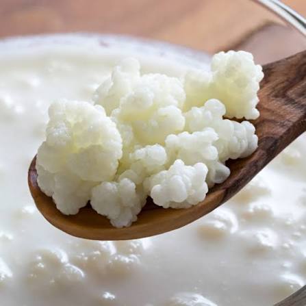 9 lợi ích bất ngờ khiến bạn nên uống nấm sữa kefir hàng ngày | AIA Vietnam