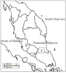 Maybe you would like to learn more about one of these? Distribution Of Heavy Metals In Edible Bivalve Donax Faba Collected From Pasir Panjang A Health Risk Assessment
