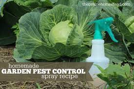 Add the soap and mix toughly. Organic Pest Control Spray For Gardens