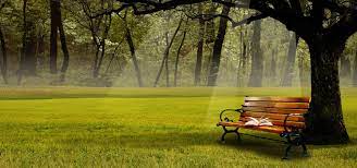 nature landscape background book chair green spring poster banner campo