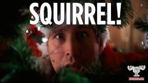 Discover and share squirrel up movie quotes. Pin By Moose Mug On Christmas Vacation Quotes Christmas Vacation Quotes Christmas Vacation Movie Lampoon S Christmas Vacation