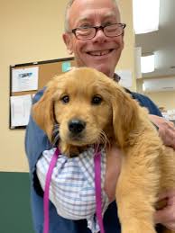 Albemarle Animal Clinic -AAC