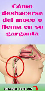 Como Eliminar La Flema De La Garganta Con Remedio Casero Alaskacrochet Com In 2020 Health Health Tips Health Advice