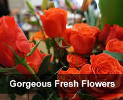 Los huéspedes están de acuerdo: Flower Delivery Allen S Flowers Blog