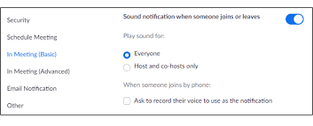 How To Lower Volume Only On Zoom – Techcult