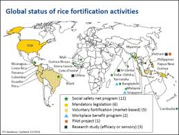 Mutant herbalife gnc optimum nutrition scivation muscle tech bpi sports universal nutrition vega clif bar. 2