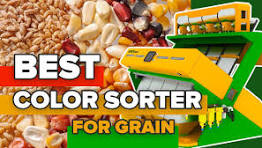 Grain cleaner, color sorter machine. Ergot solution. Awesome Agricultural  Technology