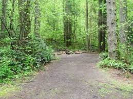 Seaquest State Park A Washington Park Located Near Kelso Longview State Parks Camping In Washington State Washington Park