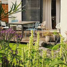 Herrlich Fauler Sonntag Ok Bissl Im Garten Wurde Geschnippelt Und Ein Kuchen Gebacken Aber Sonst Ist Hier Tatsach Gartenbau Gartengestaltung Gartenplanung