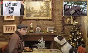 The john lewis christmas advert for 2018 was launched today, featuring sir elton john in an emotional tribute to the musical icon. Charity Christmas Single Video About Elderly Man And Dog Goes Viral Daily Mail Online