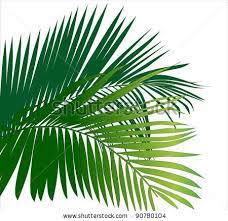 Jungle Trees Clip Art Jungle Rainforest Leaf Plants Tropical Plants Vector Image Stock Plant Vector Jungle Mural Leaves Vector