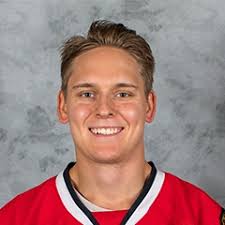 Complete player biography and stats. Kevin Lankinen Stats And Player Profile Theahl Com The American Hockey League