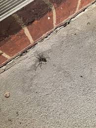 momentomarley (umomentomarley) - Reddit