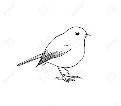 Robin logo outline svg ,stitch silhouette ,coloring page ,svg dxf eps pdf png. Hand Drawn Vector Ink Illustration Of Robin Bird Coloring Page Royalty Free Cliparts Vectors And Stock Illustration Image 158586366