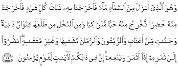 Surah al an'am easy to read translation, transliteration and arabic text. Quran Surah Al An Am 99 Qs 6 99 In Arabic And English Translation Alquran English