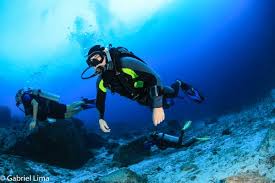 D D Dive Shop 20 Photos 12 Reviews Scuba Diving 552 E Northwest Hwy Palatine Il Phone Number Yelp