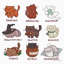 Awwww X Harry Potter Harry Potter Cat Cute Harry Potter Harry Potter Universal
