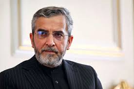 باقری کنی