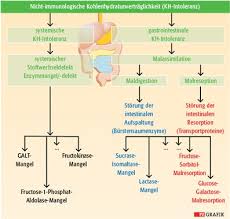 Diese treten akut nach der aufnahme von fruchtzucker auf, das heißt spätestens nach dem abstillen (muttermilch wie schnell treten die symptome auf? Zuckerintoleranzen Mit Karenz Beschwerdefrei Pz Pharmazeutische Zeitung