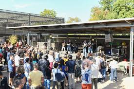 #sciences #environnement #biodiversity #arts #socialsciences (we are a natural history museum located in south france). Toulouse Les Jardins Du Museum Fetent L Automne En Musique Ce Dimanche Et C Est Gratuit Actu Toulouse