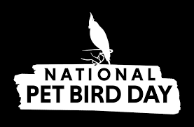 Comprehensive list of national public holidays that are celebrated in russia during 2020 with dates and information on the origin and meaning of holidays. National Pet Bird Day Mybird