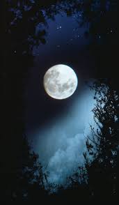 Stumbling across a beautiful moon. Love Nights With Beautiful Bright Full Moon Photos Facebook