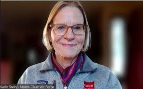 Karin Stein's Instagram, Twitter & Facebook