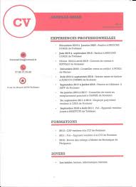 Epingle Par Marilin Marsaloux Sur Cv Brian En 2020 Permis B Experience Professionnelle Hotmail Fr