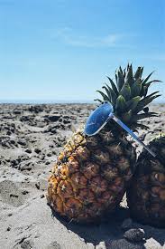 Blog Das Power Enzym Bromelain Aus Der Ananas Regenbogenkreis Regenbogenkreis