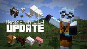 In creative, you can select any available morph via creative morph menu which can be opened by pressing bkey in the game. Change Log Metamorph 1 1 4 Youtube