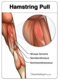 They most often occur at the middle of the back of the thigh where the muscle joins its tendon or at the base of the buttocks. 7 Hamstring Injury Exercises Ideas Hamstrings Hamstring Pull Tight Hamstrings