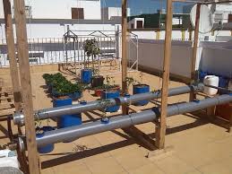 Apponix vertical barrel the aponix vertical barrel is a growing device that can use an existing nutrient cycle, either hydroponic or aquaponic much like a normal nft. Estudiando Un Sistema Nft Hidroponico De Tomates Y Pimientos