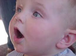 Neurological and developmental foundations of speech acquisition