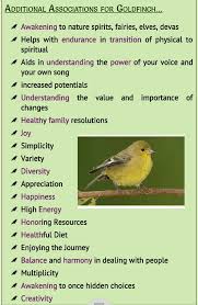 Birds And Their Spiritual Meanings Goldfinch Animal Symbolism Animal Spirit Guides Spirit Meaning