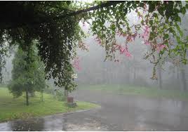 Hình ảnh có liên quan