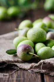 Raw Olive For Making Oil How To Make Oil Beautiful Fruits Fruit
