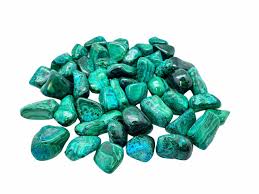 Image result for Chrysochloa