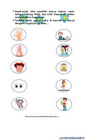 Gambar panca indera untuk anak tk. Lkpd Tema Diriku Subtema Panca Indera Worksheet