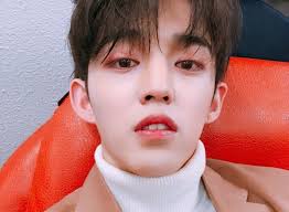 Idols Born In The Year Of The Pig Talk About 2018 And Their Dreams + Share  New Year's Messages