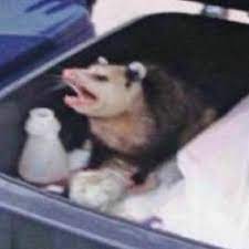 Plz don't touch my garbage. Don T Touch My Garbage Don Garbage Twitter