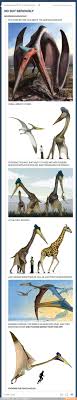 The Quetzalcoatlus Mightier Than The Pterodactyl Tumblr Funny Hilarious Funny Pictures
