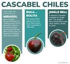 What Are Cascabel Chiles - Spices Inc.