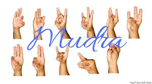 Mudra Types Of Mudra Mudra In Yoga