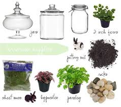 Easter Terrariums Pink Pistachio Terrarium Supplies Terrarium Water Terrarium