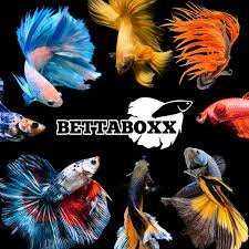 Popeye Bettaboxx