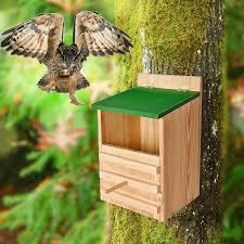 Image result for Flyte Blackbird Nest Box