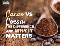 Cacao Vs Cocoa The Difference And Why It Matters Paleohacks Blog
