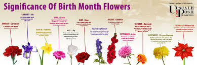 Birth Month Flower Chart Birth Month Flowers Chart Google Search Birth Month Flowers February Birth Flowers April Birth Flower