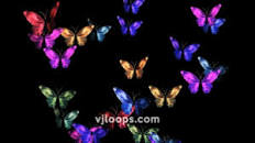 Image result for butterfly effect ignores balance in nature